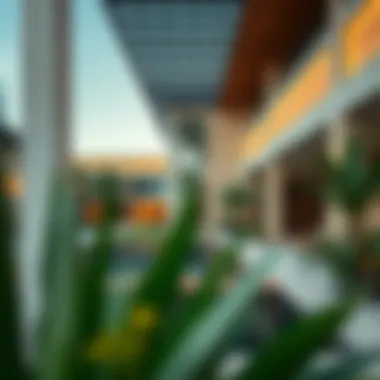 Magnificent A Deep Dive into Emirati Houses: Architecture, Culture, and Modern Trends Magnificent A Deep Dive into Emirati Houses: Architecture, Culture, and Modern Trends