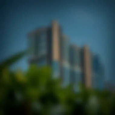 Magnificent Exploring 1 BHK Rental Opportunities in Liwan