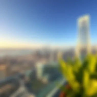 Panorama from the Terrace of Al Fahad Tower 1 Panoramic view from the terrace of Al Fahad Tower 1, capturing the breathtaking skyline of Dubai