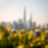 Luxury Skyline of Dubai Stunning skyline of Dubai showcasing luxury properties