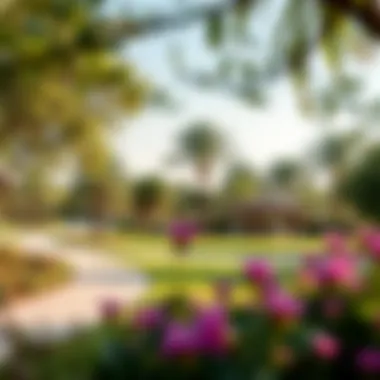 Community Park in The Valley A serene community park in The Valley, featuring lush greenery and recreational areas