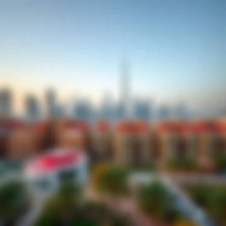 Outdoor view of a Dubai skyline with rental properties