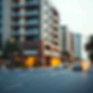 Notable Comprehensive Guide to Plot Locator Services in Dubai