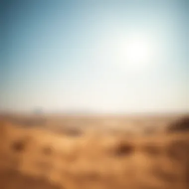 A scenic view of the UAE desert symbolizing investment potential and growth