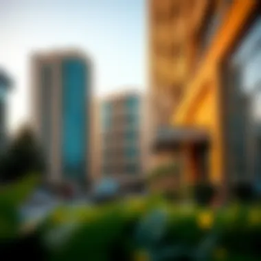 Overview of prerequisites for DEWA payment