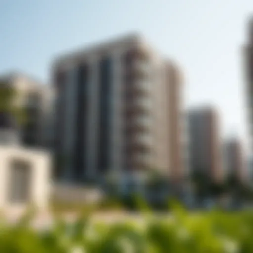 Exploring 1 BHK Rental Opportunities in Liwan Introduction