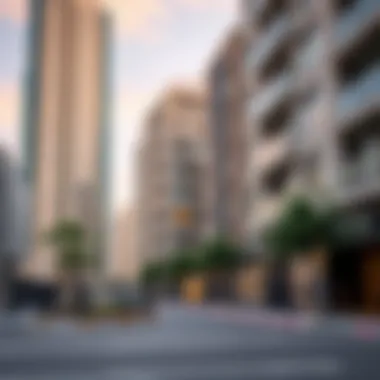 Exploring 1 BHK Rental Opportunities in Liwan Summary Exploring 1 BHK Rental Opportunities in Liwan Summary