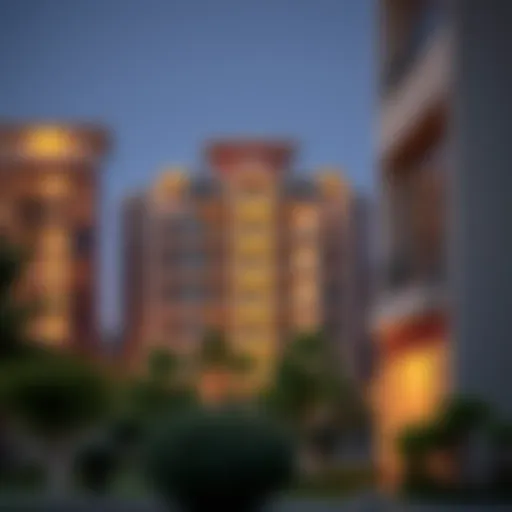 Exploring 1 BHK Rental Opportunities in Nad Al Hamar Introduction