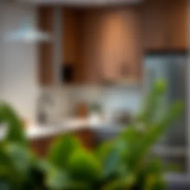 Stylish kitchen setup in a rental apartment