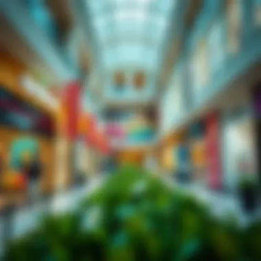 Vibrant retail space inside Al Barsha Galleria Mall filled with diverse shopping options