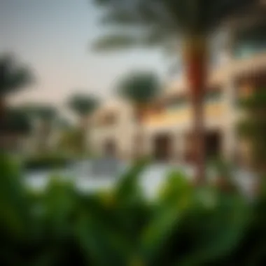 Community amenities surrounding Deyaar Amalia