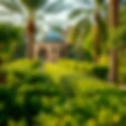 Lush greenery of Mushrif Park