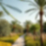Exploring Nad Al Sheba Forest: A Comprehensive Insight Introduction