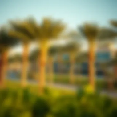 Notable Exploring Nad Al Sheba Forest: A Comprehensive Insight Notable Exploring Nad Al Sheba Forest: A Comprehensive Insight