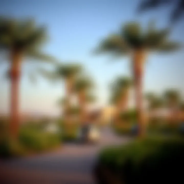 Exploring Nad Al Sheba Forest: A Comprehensive Insight Summary