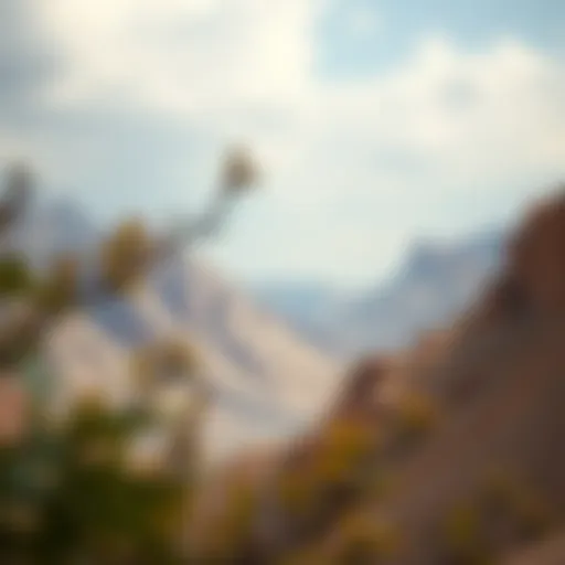 Oman Mountains: A Natural Marvel Breathtaking view of the Oman Mountains