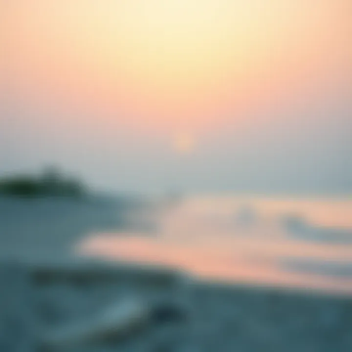 Serene beach in Qatar with sunset
