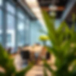 Modern coworking space at Regus Al Bateen