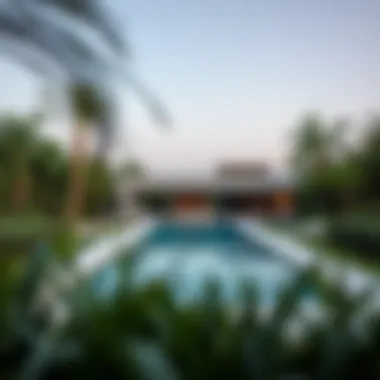 Scenic View of Private Pool Villa Scenic view of a private pool villa surrounded by lush greenery in Dubai