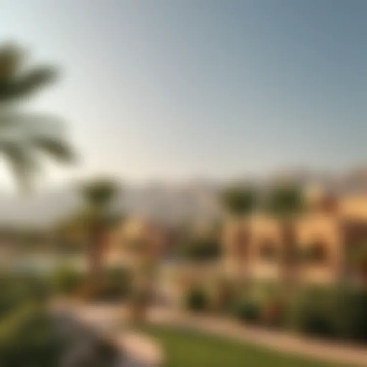 Scenic views of the Al Ain Oasis with palm trees and heritage sites