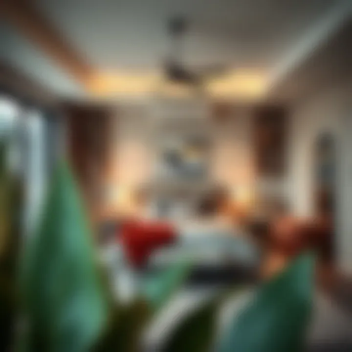 Spacious Bedroom in Elan Floor Plan Spacious bedroom featured in Elan floor plan