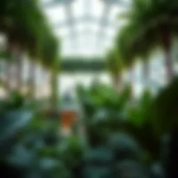 Lush interior of Dubai's Green Planet showcasing diverse plant species