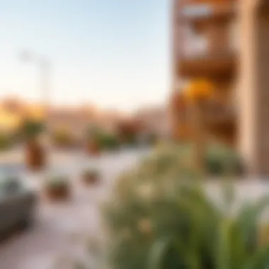 Unique Flora of Wadi Shawka Exploring the unique flora of Wadi Shawka