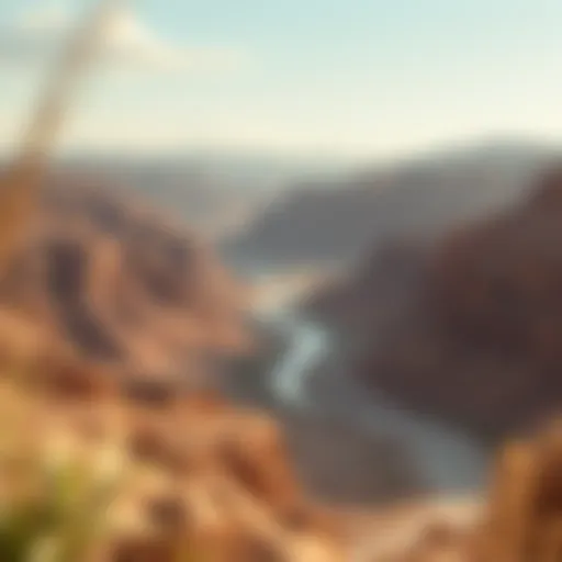 Wadi Shawka Landscape Breathtaking view of Wadi Shawka's landscape