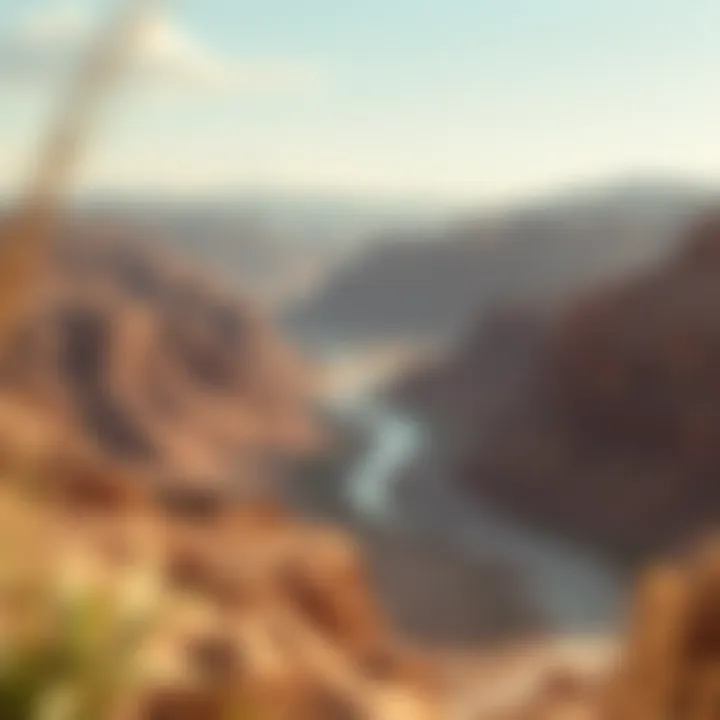 Wadi Shawka Landscape Breathtaking view of Wadi Shawka's landscape