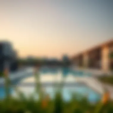 Community Amenities in The Meadows Community amenities in The Meadows including parks and pools