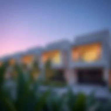 Architectural Elegance of The Meadows Modern villas showcasing architectural elegance in The Meadows