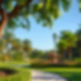 Scenic view of Mushrif Park showcasing lush greenery and recreational facilities
