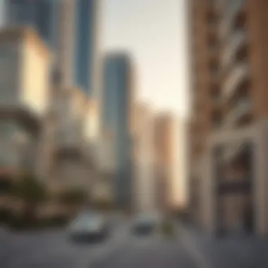 Impact of Government Policies on Dubai Real Estate Infographic on government policies impacting Dubai's real estate