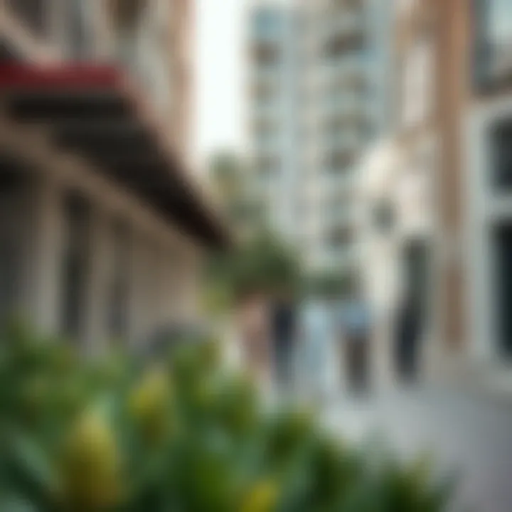 Community Life in جَداَف Vibrant community spaces in جَداَف