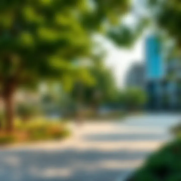 Lush Green Spaces in Manazel Meydan Community park with lush greenery in Manazel Meydan