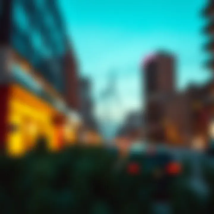 Diagram illustrating challenges in the visa application