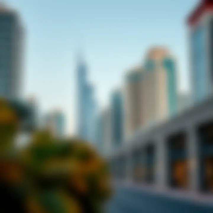 Visual representation of the Dubai real estate market