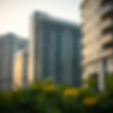 Notable Navigating the Real Estate License Process in Dubai Notable Navigating the Real Estate License Process in Dubai