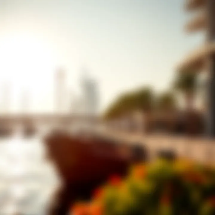 Scenic waterfront area showcasing leisure and relaxation