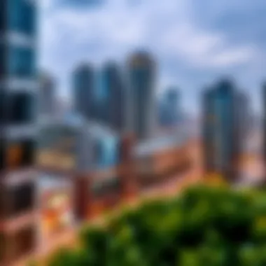 Business District in Tecom Business district in Tecom highlighting corporate growth