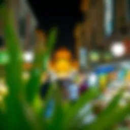 The Meadows Souk: A Comprehensive Guide to Dubai's Unique Marketplace Introduction