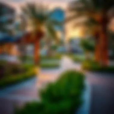 Landscaping of Town Square Park at Sunset Beautiful landscaping and pathways in Town Square Park during sunset.