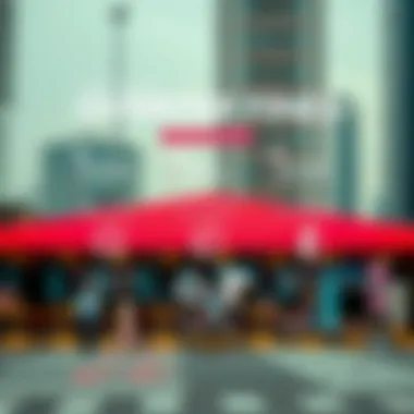 An infographic illustrating the overstay fines structure in the UAE