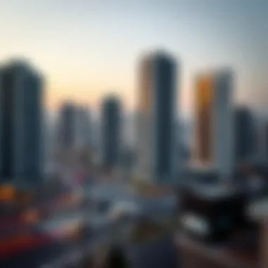 Infographic illustrating real estate regulations in Dubai