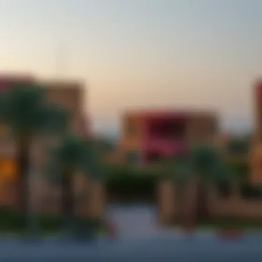 Local amenities and vibrant community in Rashidiya