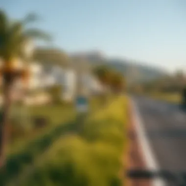 Natural Beauty Along Yas Cycle Track Scenic landscape surrounding the Yas Cycle Track